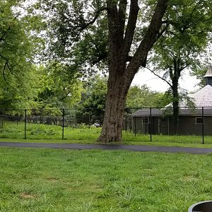 MD Zoo, Main Valley - Back of crane building