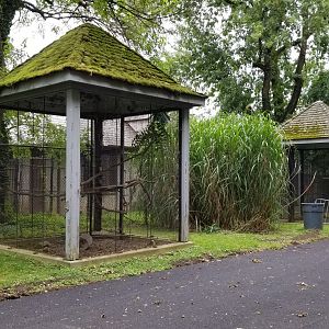 MD Zoo, Main Valley - Bird, etc cage next to back of crane yard