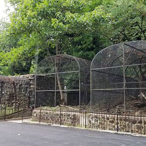 MD Zoo, Main Valley - Old cages