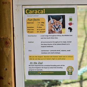 Caracal Sign