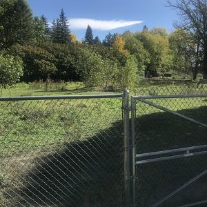 Plains Zebra Exhibit
