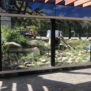 Pine Country Bank River Otter Exhibit