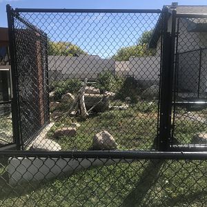 Pine Country Bank River Otter Exhibit