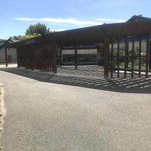 Pine Country Bank River Otter Exhibit- Overview