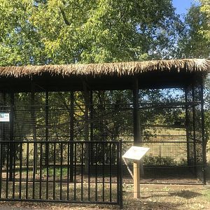 Great-Horned Owl Exhibit