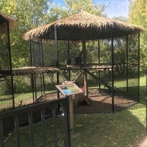 North American Porcupine Exhibit