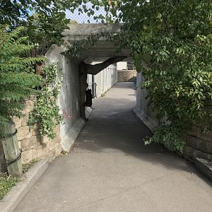 Tunnel to Bear Complex