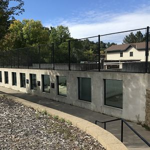 Overview of Bear Complex