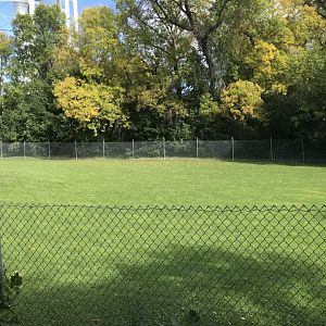 Red Kangaroo/Emu Exhibit