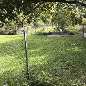 Red Kangaroo/Emu exhibit