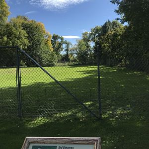 Red Kangaroo/Emu Exhibit