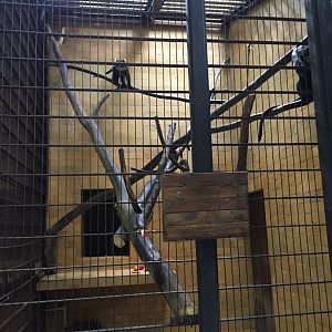 Zoo Târgu-Mures 27.08.2021.