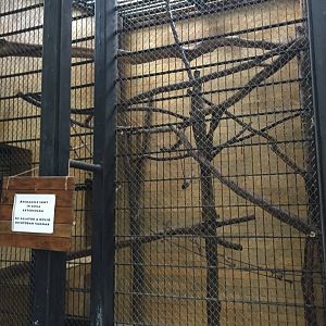 Zoo Târgu-Mures 27.08.2021.