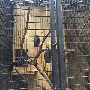 Zoo Târgu-Mures 27.08.2021.