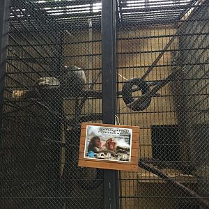 Zoo Târgu-Mures 27.08.2021.