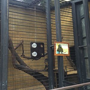 Zoo Târgu-Mures 27.08.2021.