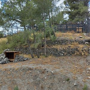 Ecozonia - Raccoon dogs enclosure