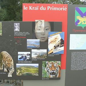 Ecozonia - Primorsky Krai panel