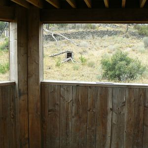 Ecozonia - View onto the raccoon enclosure from the viewing tower