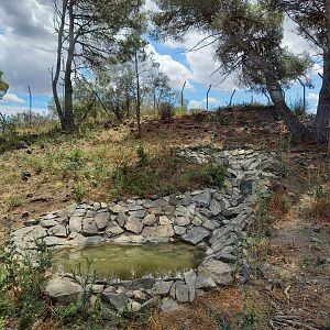 Ecozonia - Chinese dhole breeding pair enclosure