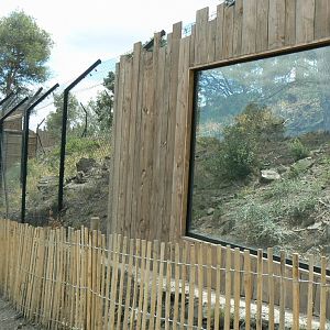 Ecozonia - Chinese dhole breeding pair enclosure
