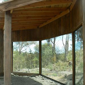 Ecozonia - Second chinese dholes viewing point