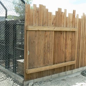 Ecozonia - Chinese dholes separation rooms
