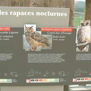 Ecozonia - Owls panel