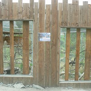 Ecozonia - Great grey-owl and eurasian eagle-owls aviary