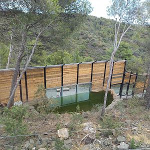 Ecozonia - European brown bears and eurasian wolves enclosure