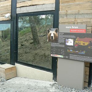 Ecozonia - European brown bears and eurasian wolves enclosure