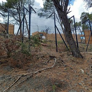 Ecozonia - Second wolverines enclosure