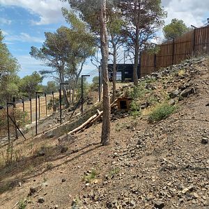 Ecozonia - Second wolverines enclosure