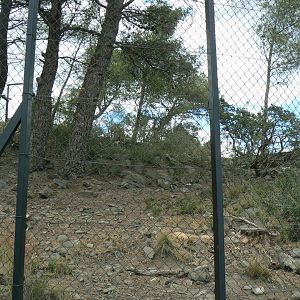 Ecozonia - Main wolverines enclosure