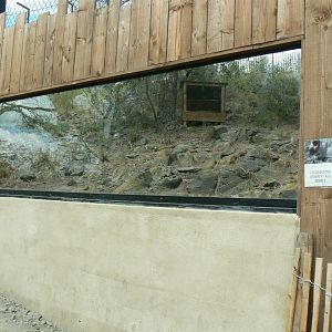 Ecozonia - Wolverines viewing window