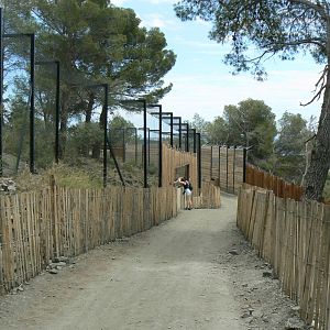 Ecozonia - Main wolverines enclosure