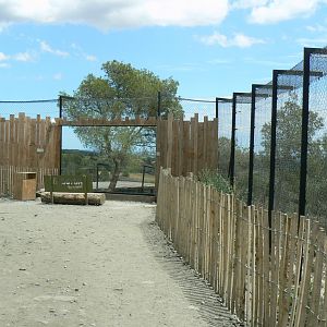 Ecozonia - Main wolverines enclosure