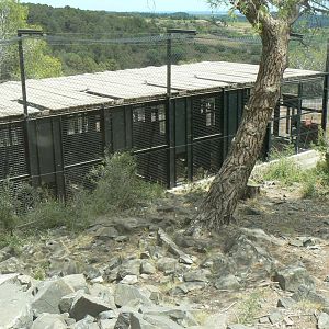 Ecozonia - Wolverines separation rooms