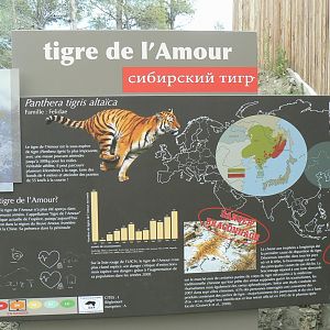 Ecozonia - Siberian tiger sign