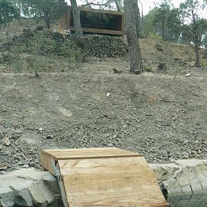 Ecozonia - Siberian tigers enclosure