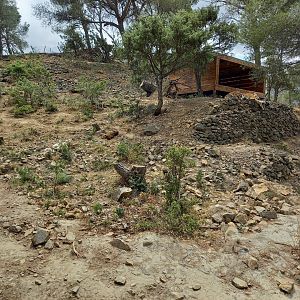 Ecozonia - Siberian tigers enclosure
