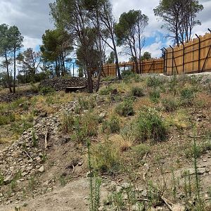 Ecozonia - Third chinese dholes enclosure