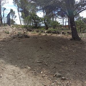 Ecozonia - Second chinese dholes enclosure