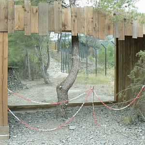 Ecozonia - Viewing point on the second chinese dholes enclosure