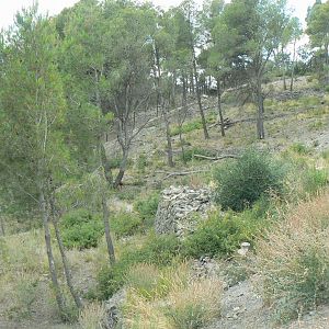 Ecozonia - Third chinese dholes enclosure