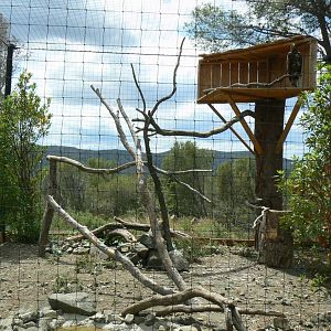 Ecozonia - White-tailed sea eagle aviary