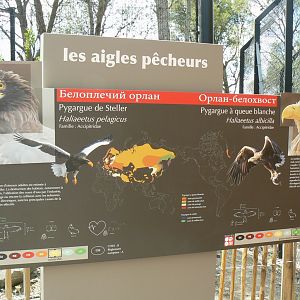 Ecozonia - Sea eagle sign