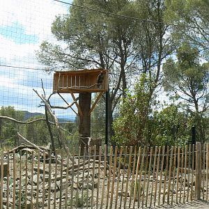 Ecozonia - White-tailed sea eagle aviary