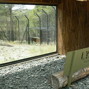 Ecozonia - Northen lynx enclosure