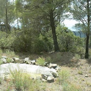 Ecozonia - Northen lynx enclosure